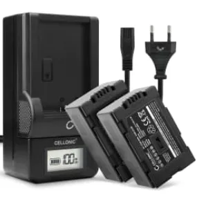 2x Accu voor Panasonic AG-DVX100 NV-GS11 NV-DS60 NV-GS1 NV-DS27 NV-DS29 NV-MX500 NV-DA1 NV-DS15 camera - CGA-D54 CGR-D120 -D220 