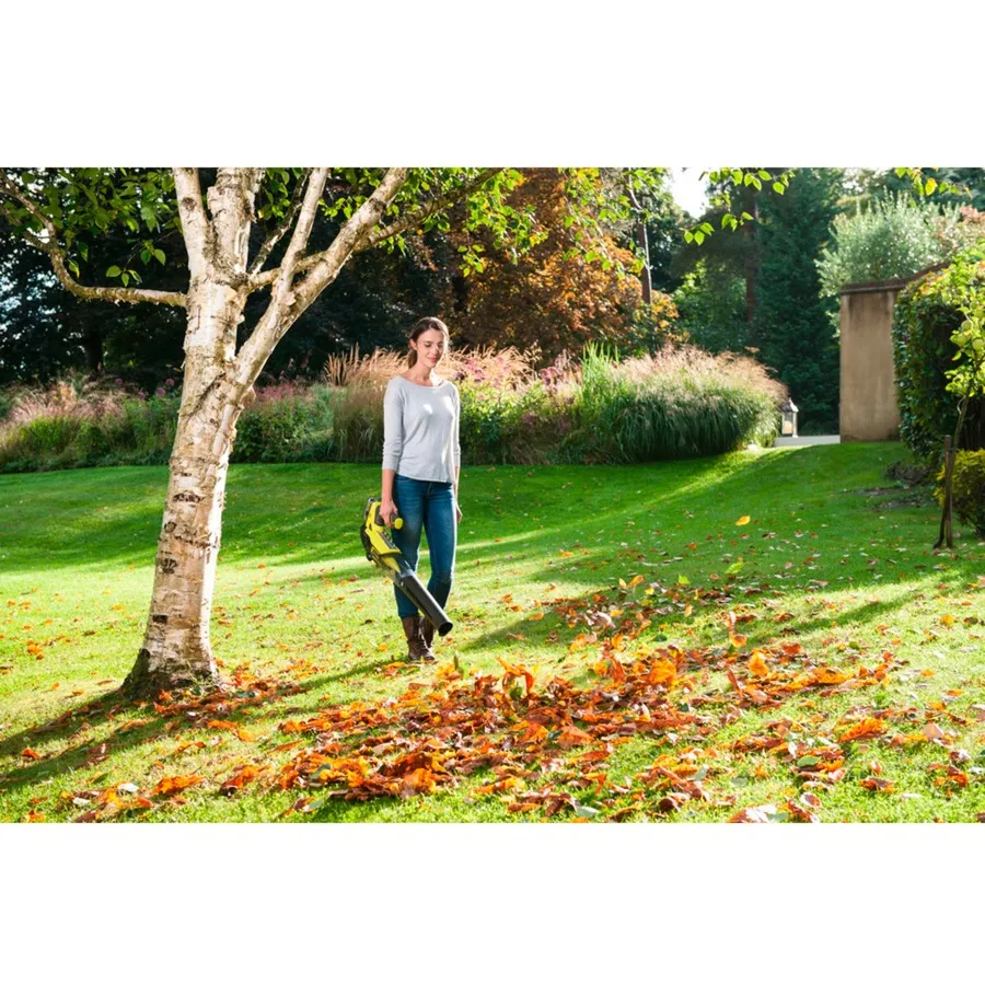 Ryobi ONE+ Bladblazer (Groen/zwart, Accu en lader niet inbegrepen)